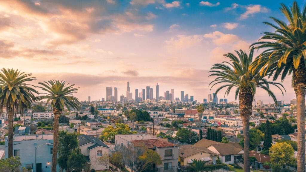 Government Services in Los Angeles: The Complete Guide