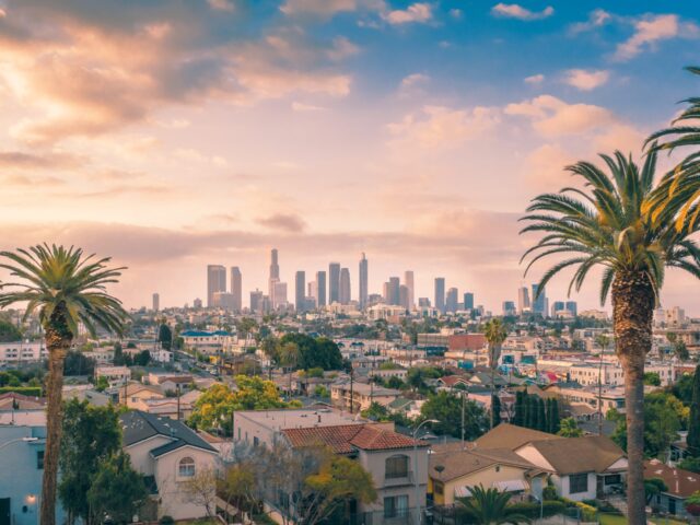 - Government Services in Los Angeles: The Complete Guide